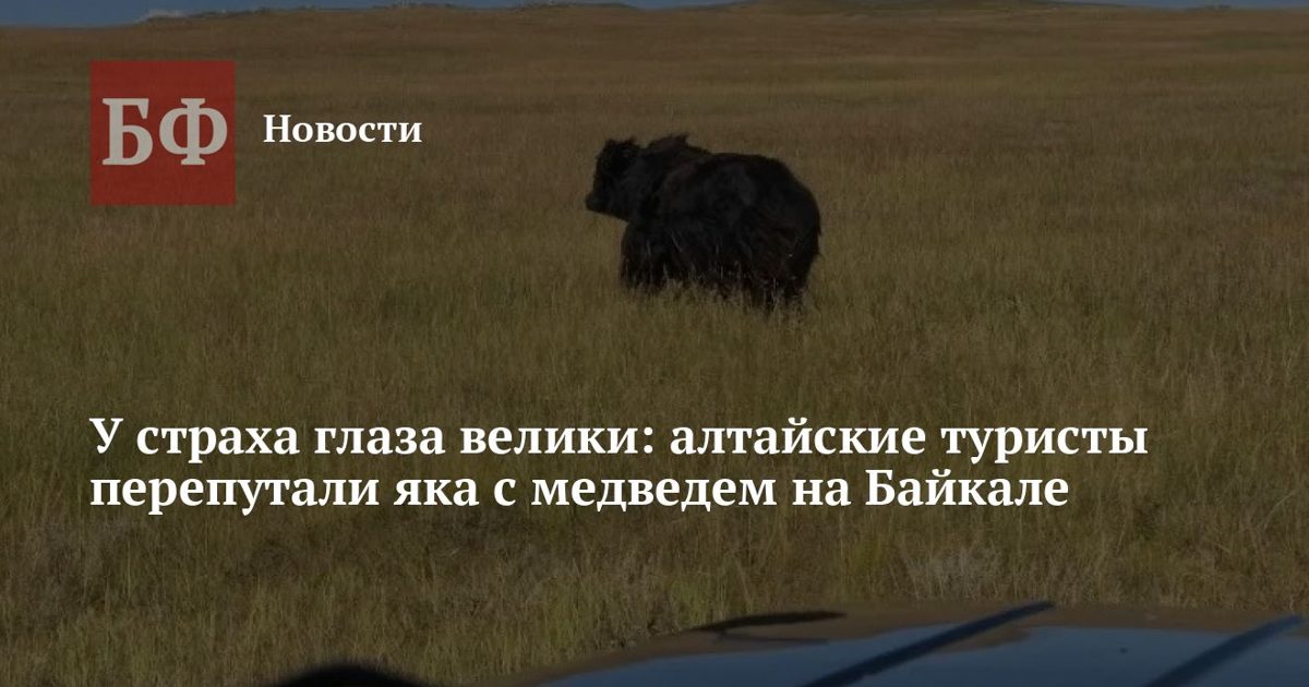 Алтайские туристы спутали яка с медведем на Байкале