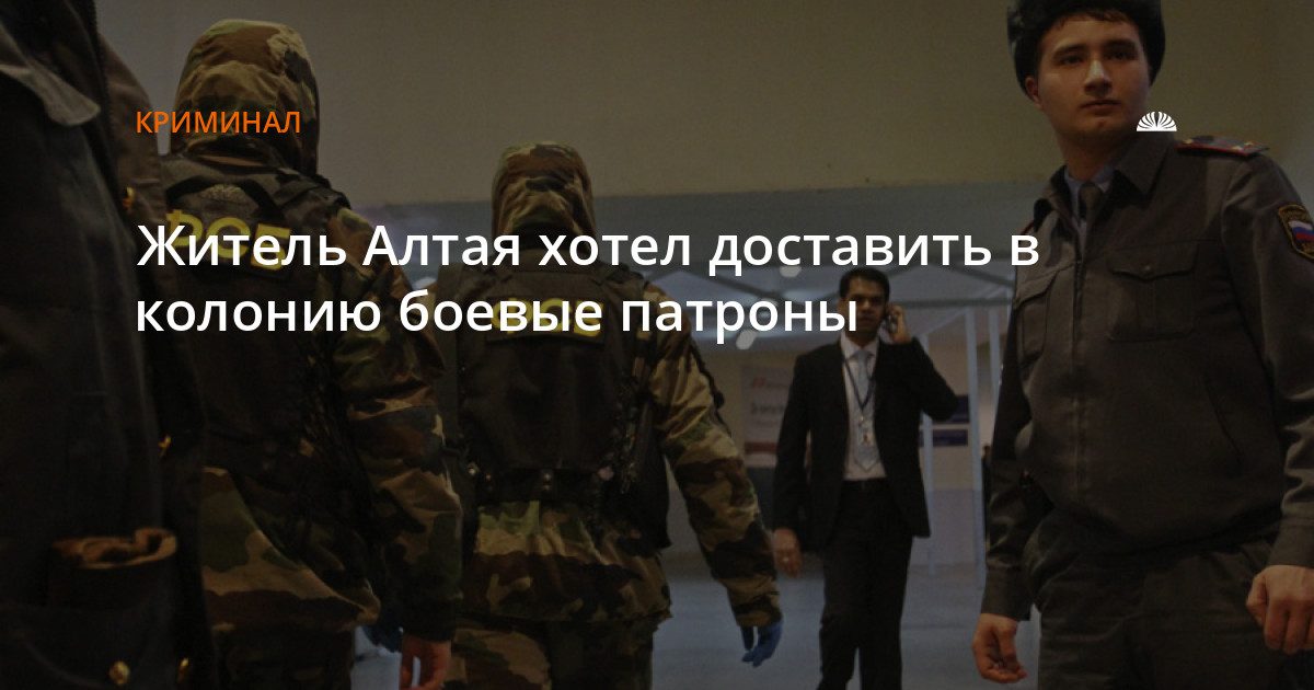 Водитель попытался провезти боеприпасы в алтайскую колонию