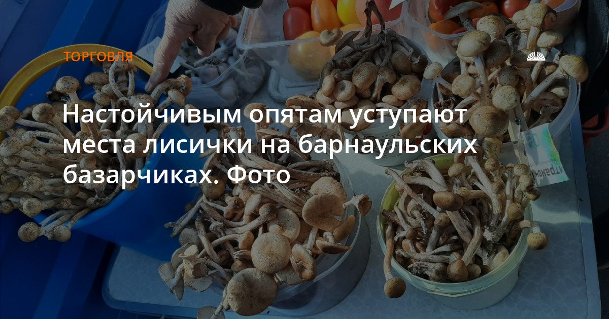 Опята раскупили, лисички дешевеют: какие грибы продают на барнаульских базарчиках