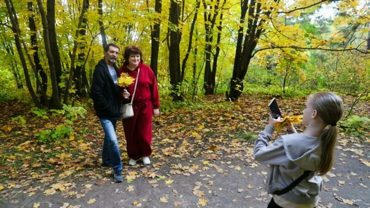 Осенние фотолокации Барнаула: дендрарий, парки и берег Оби