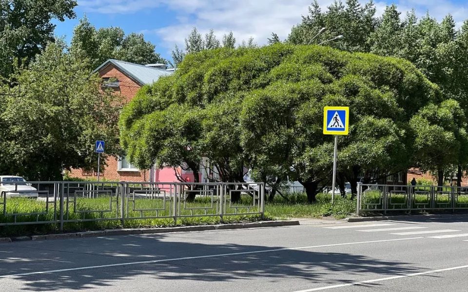 К концу недели жара в крае спадет до +21 градуса