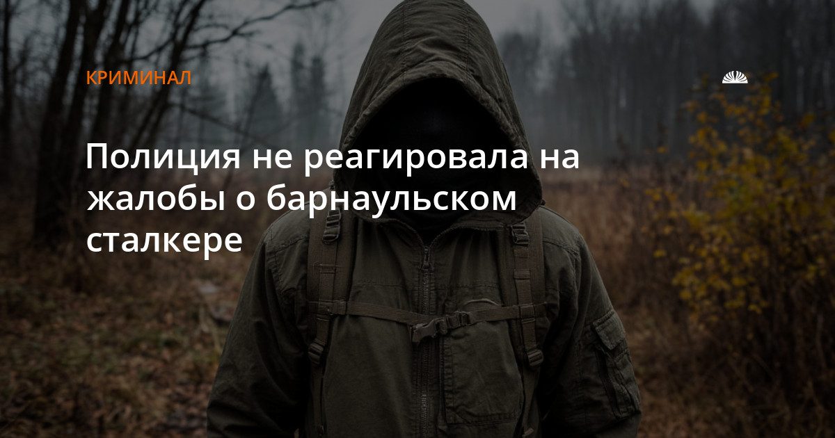 Полиция не должным образом реагировала на жалобы жительницы Барнаула