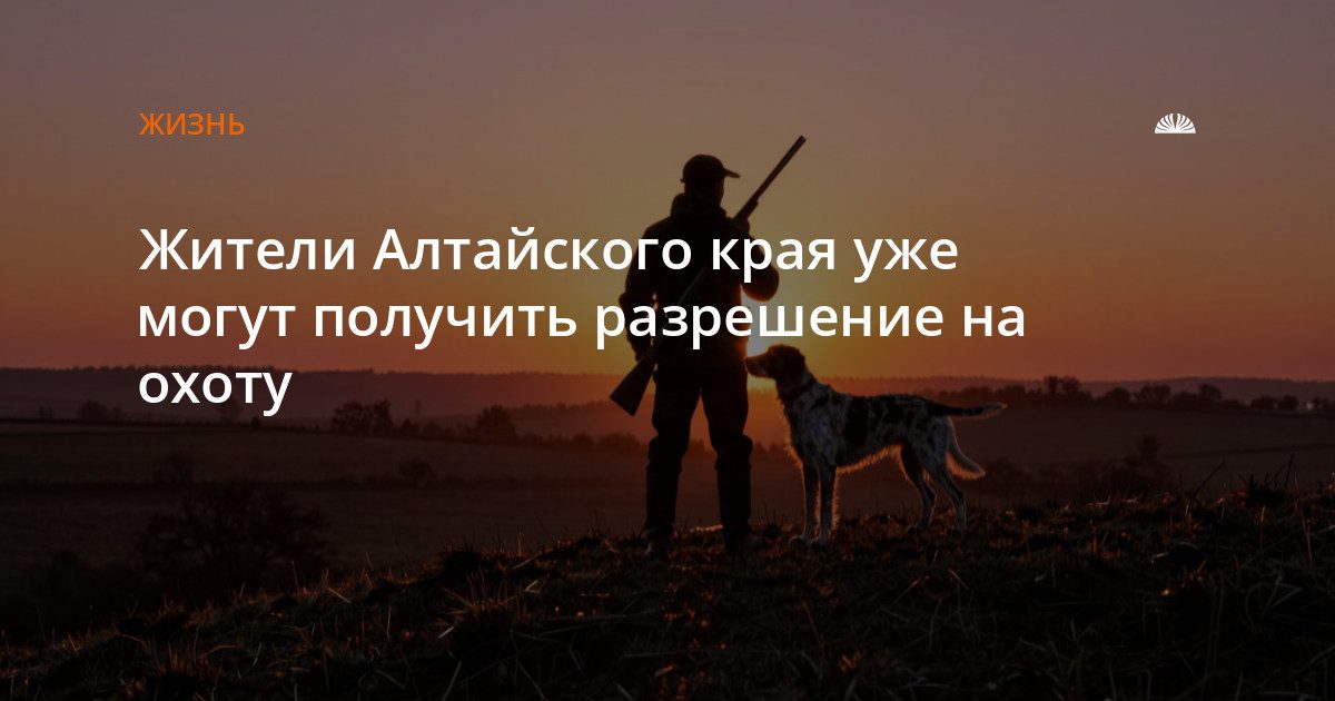 Жители края могут подать заявление на охоту в сезоне 2026–2027 годов
