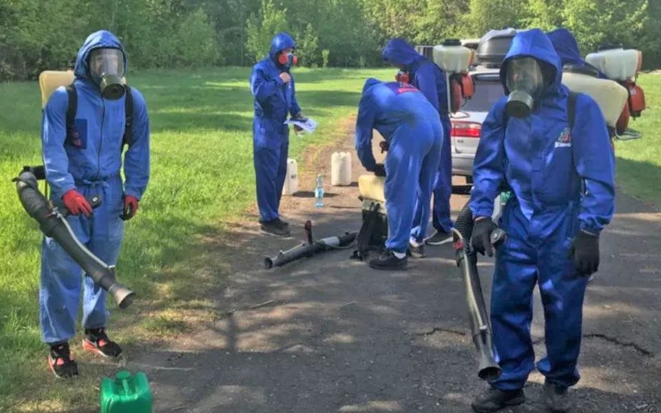 В Алтайском крае зафиксировали более 6,5 тысячи случаев присасывания клещей