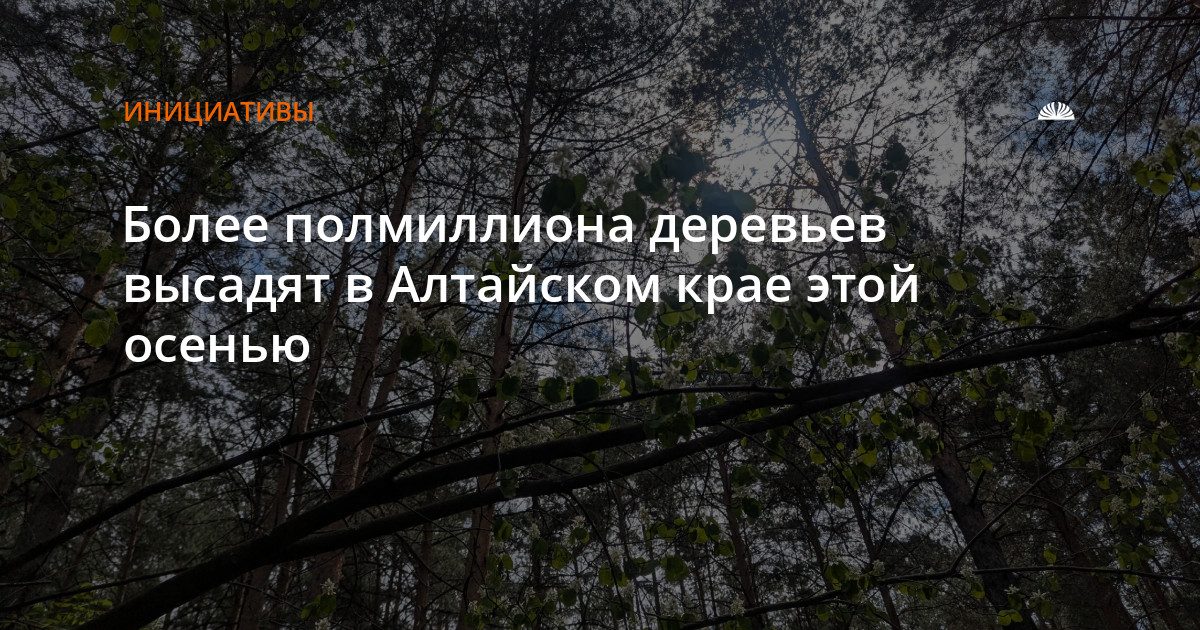 В Алтайском крае высадят более 500 тысяч молодых деревьев этой осенью