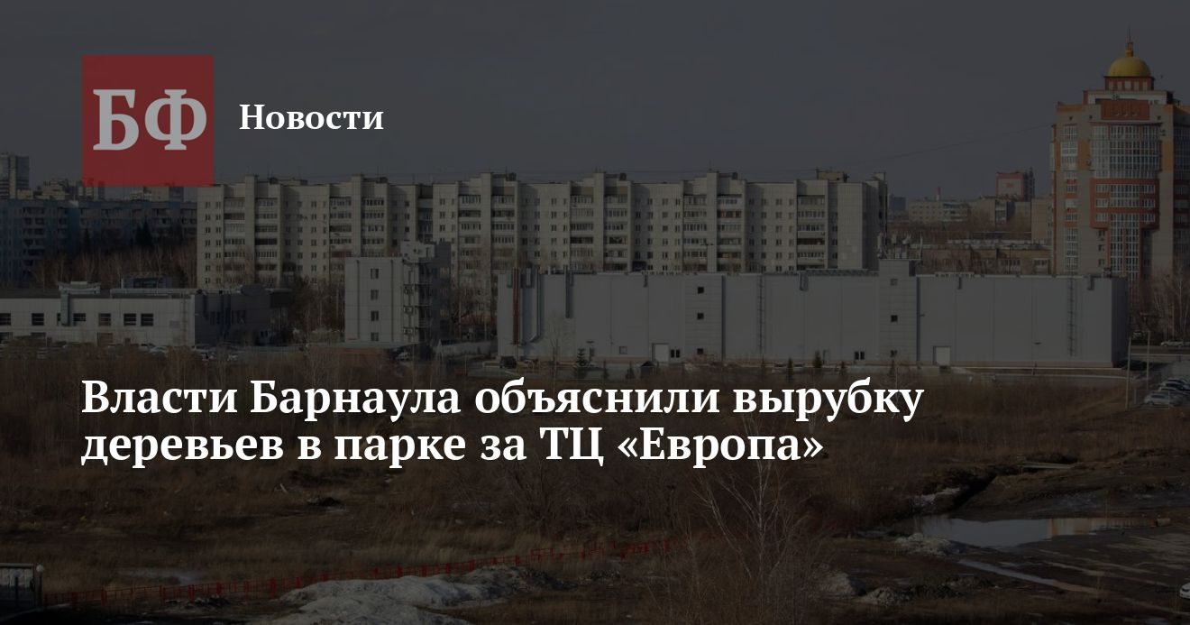 В парке «300-летия Барнаула» спилили аварийные деревья в овраге