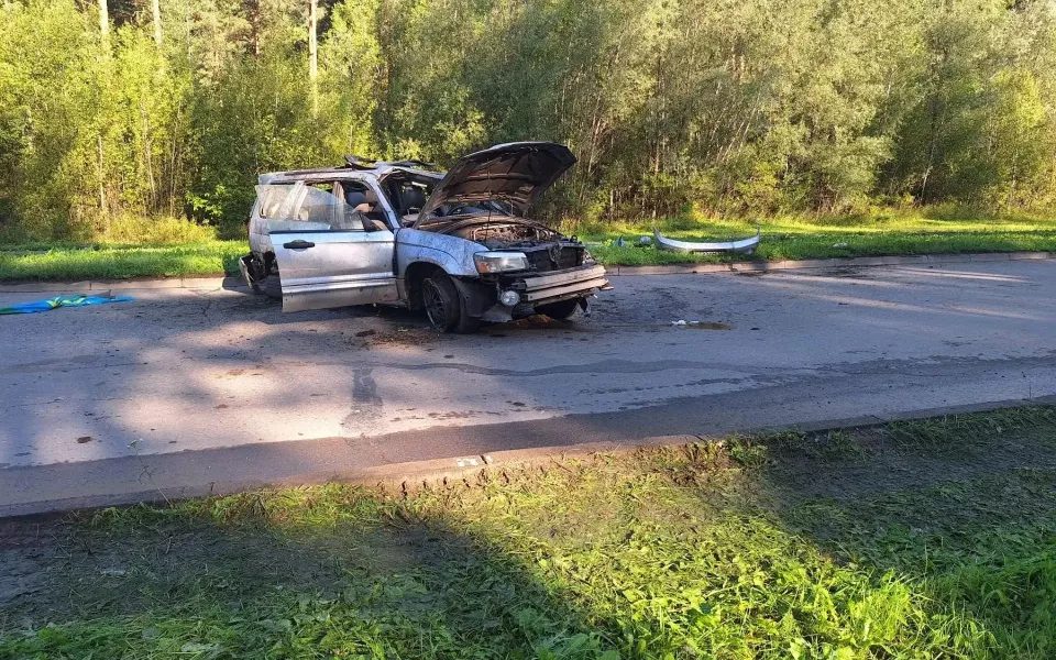 17-летняя медалистка погибла в ДТП в Алтайском районе