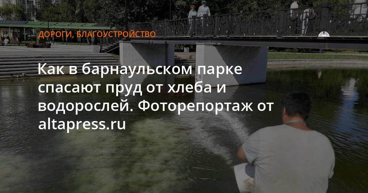 В барнаульском парке спасают пруд от водорослей и хлеба