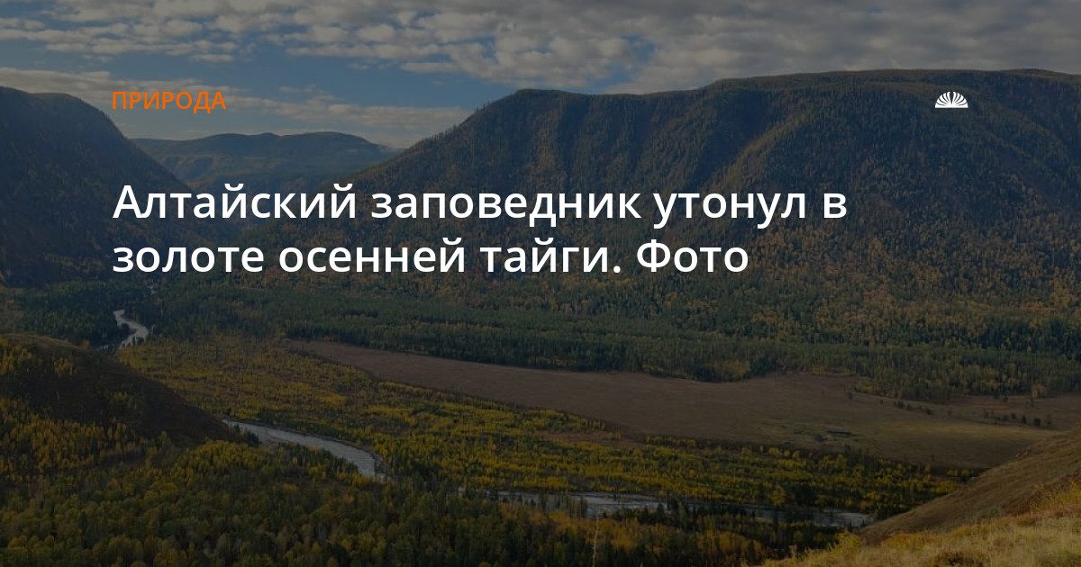 В Алтайском заповеднике показали золотую осень