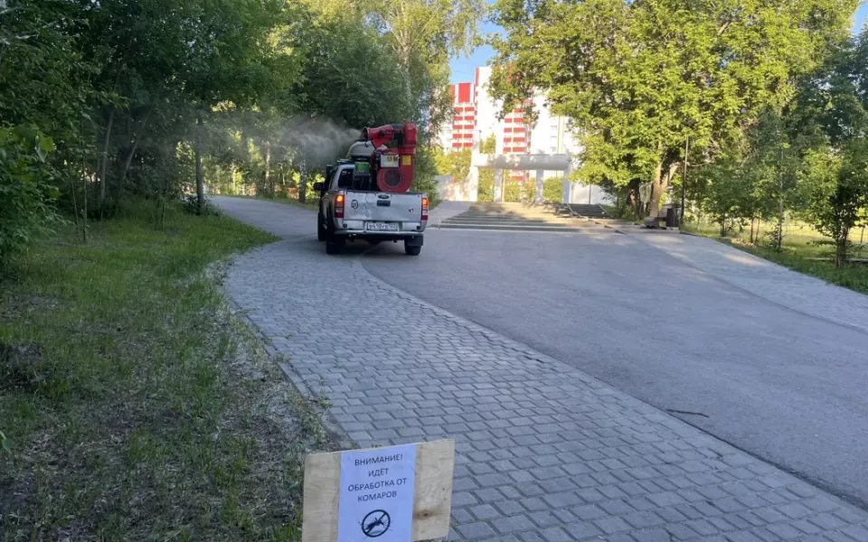 В Барнауле продолжают дезинсекцию общественных территорий