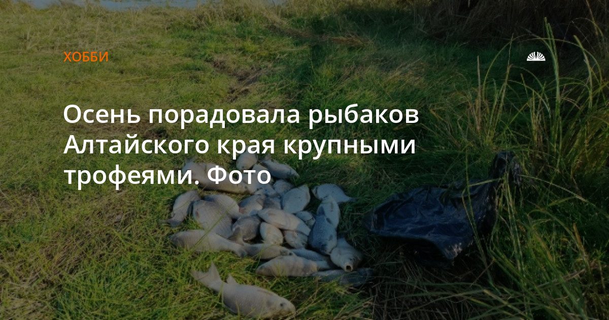 Осенняя рыбалка в Алтайском крае принесла рыбакам крупные уловы