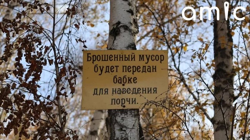 Барнаулец 20 лет убирает рощу на Солнечной поляне