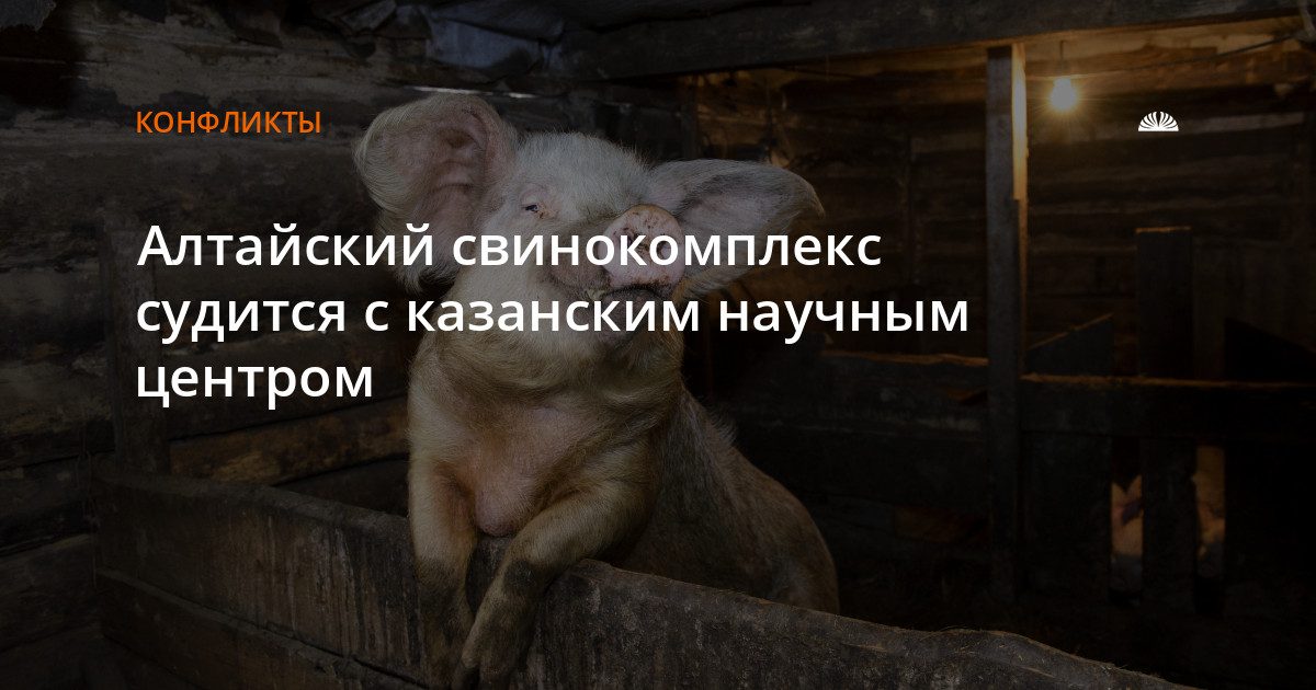 Казанский научный центр подал иск к свинокомплексу «МитПром»