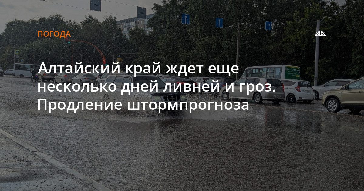 Барнаул ожидает ливни и грозы до 25 июля