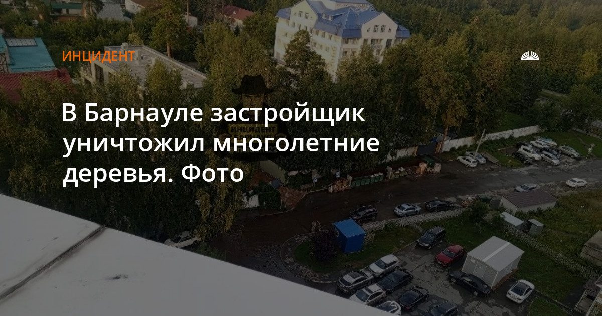 На Змеиногорском тракте застройщик спилил многолетние деревья для бизнес-центра