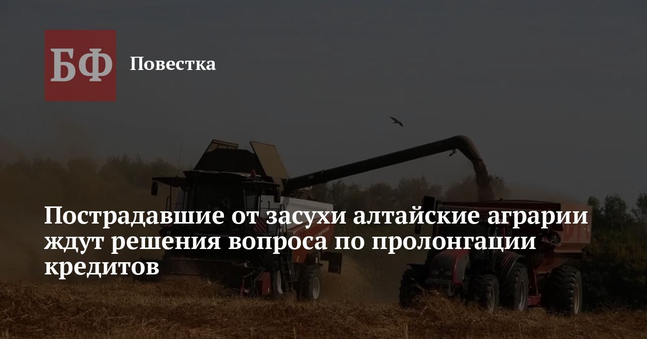 Аграрии Алтайского края ждут помощи с пролонгацией кредитов после засухи