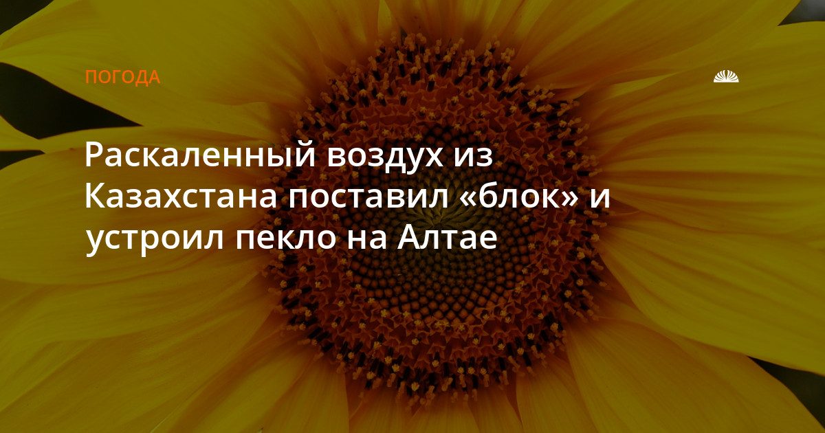 Антициклон из Казахстана принес жару на Алтай и Западную Сибирь