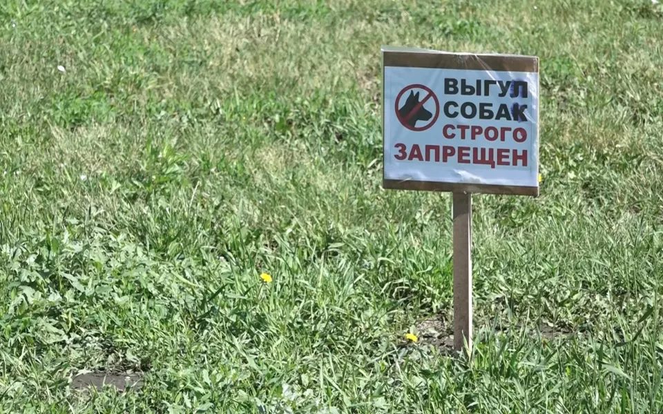 Две барнаульские соседки оштрафованы за драку из-за газона