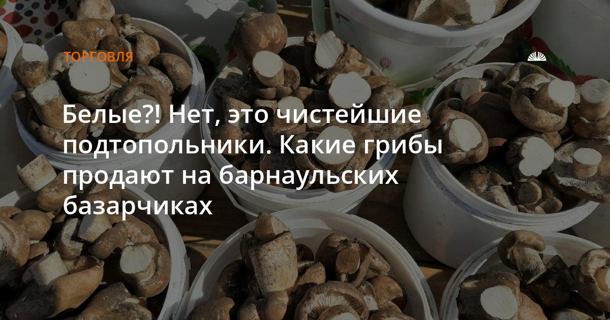 Подтопольники вместо белых: какие грибы продают на барнаульских базарах
