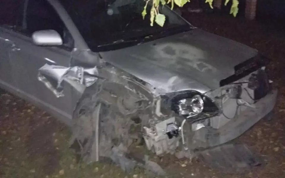 Иномарка снесла опору ЛЭП и едва не подожгла дом в Камне-на-Оби