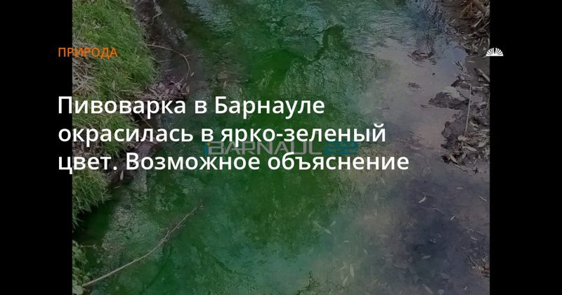 Пивоварка в Барнауле позеленела: причина — краситель в теплосетях