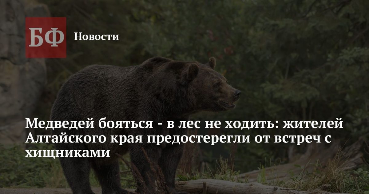 Медведи рядом с селами: в Ельцовском районе жителей предупредили об опасности