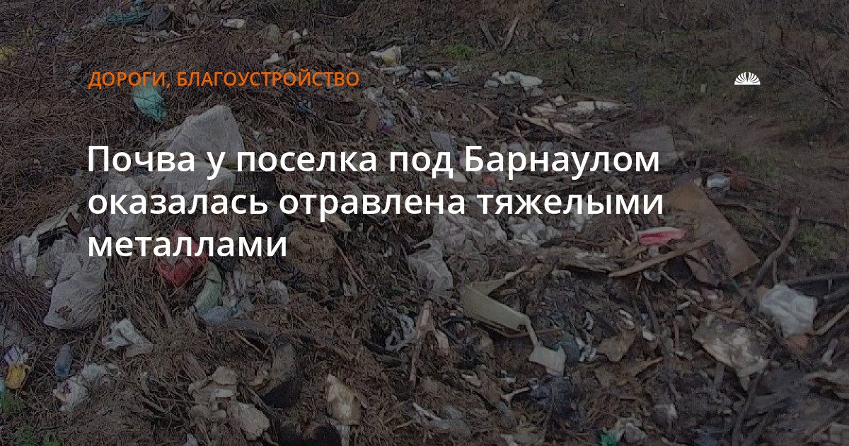 Почва рядом с поселком Центральный загрязнена тяжелыми металлами из-за свалки