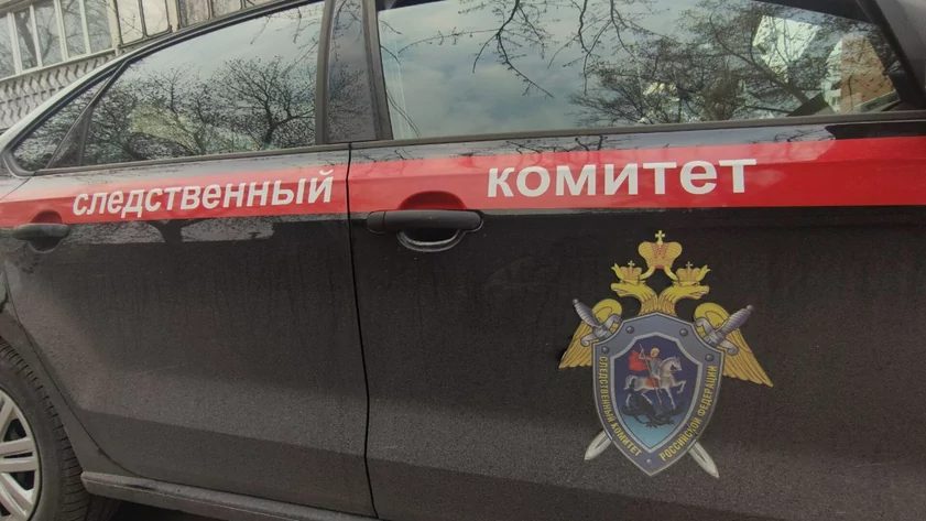 Новосибирские подростки-курьеры похитили 7 млн рублей у пенсионеров Барнаула
