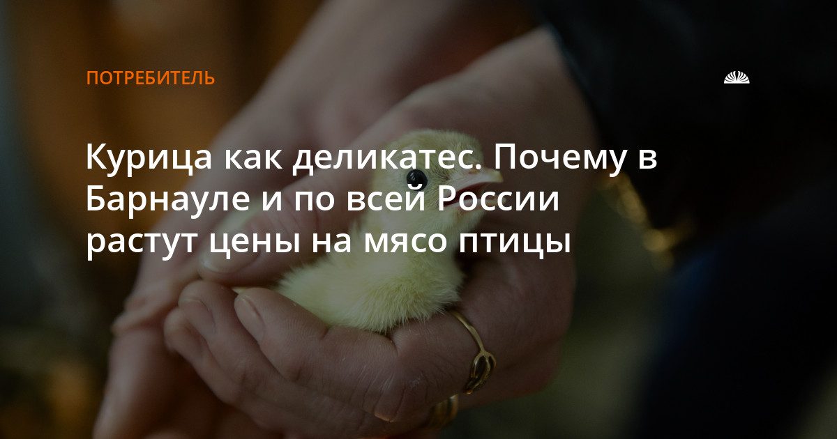Куриное мясо в Барнауле подорожало на 6,4% за год