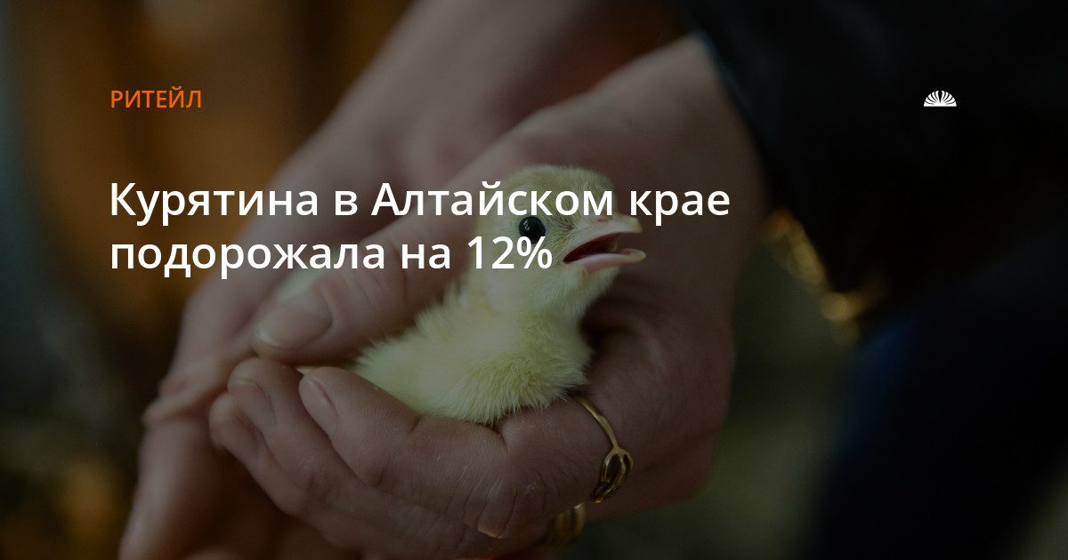 Курятина в Алтайском крае подорожала на 12% за год