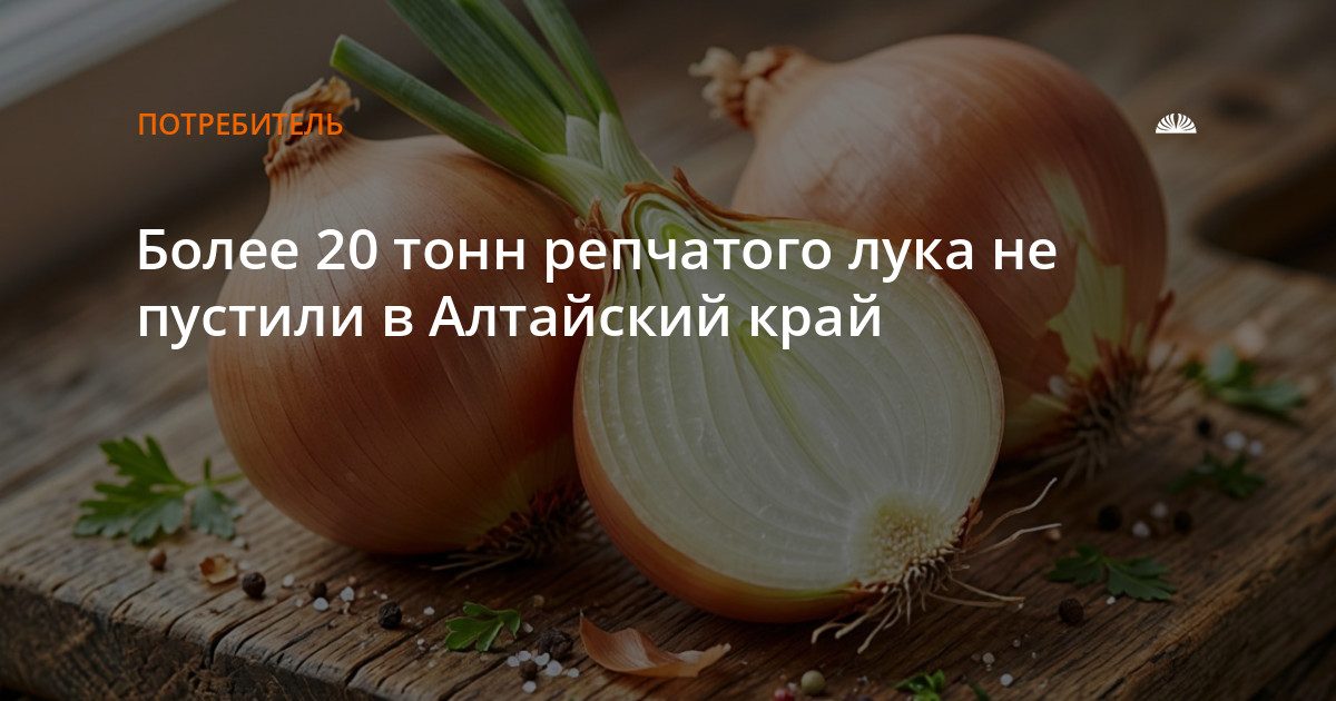 В Рубцовском районе не пустили 21 тонну лука из Казахстана