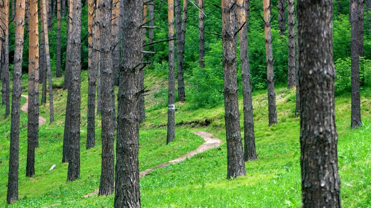 В Республике Алтай нашли тело пропавшего спасателя Игоря Большакова