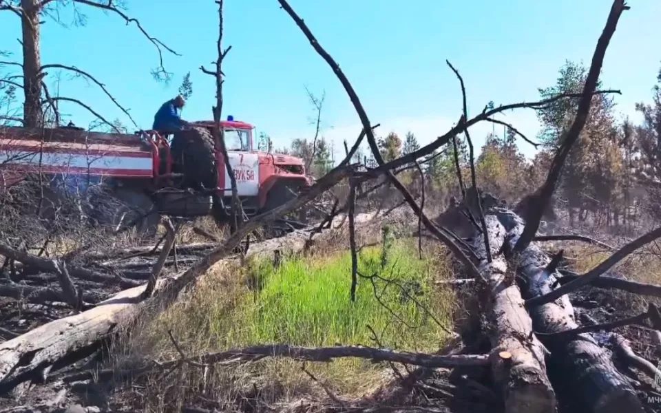 В Волчихинском районе потушили крупный лесной пожар