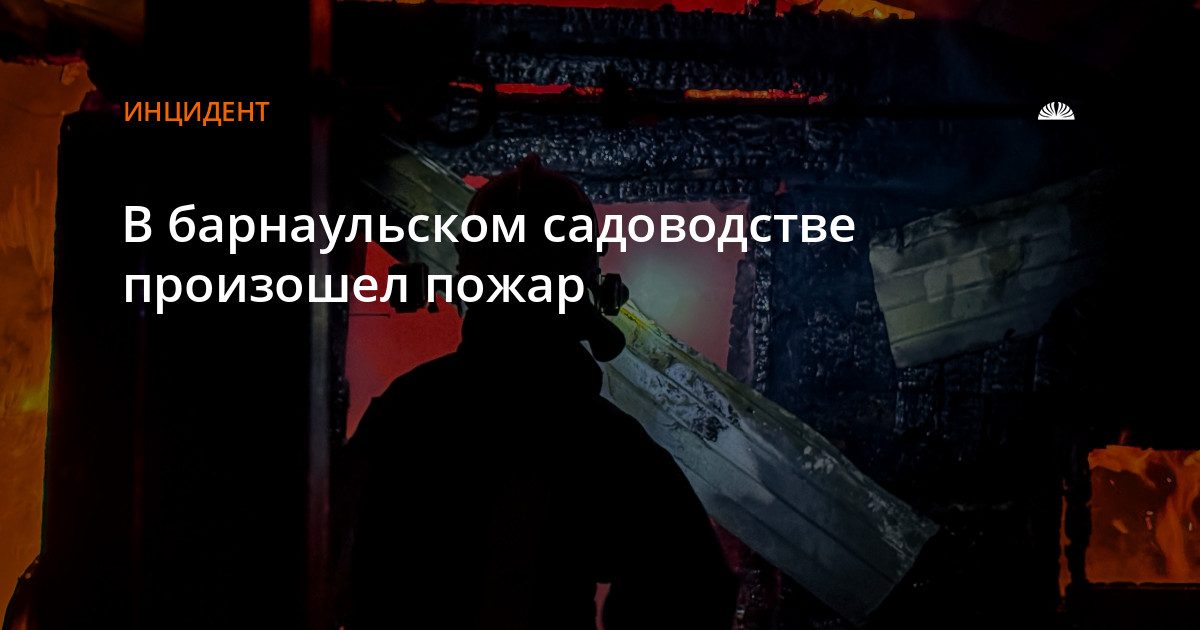 Пожарные пробивались сквозь заросли к горящей бане в СНТ «Алтай»