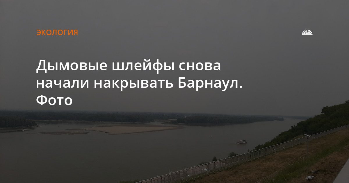 Дым от лесных пожаров Томской области накрыл Барнаул