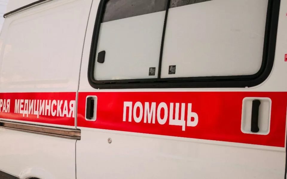 15 человек пострадали от укусов гадюк в Алтайском крае летом