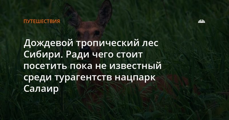 Салаир: тайга с травой выше человека и тайменем в реке