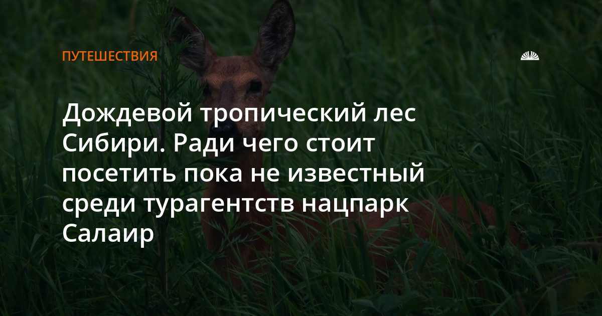 Салаир: тайга с травой выше человека и тайменем в реке