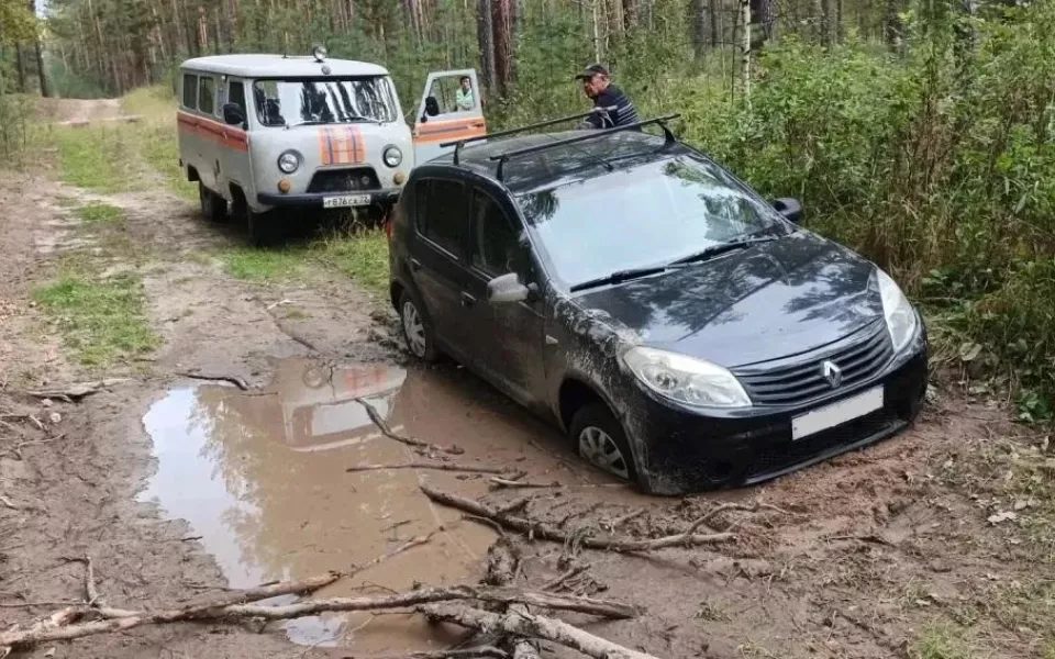 Барнаулец заблудился в лесу под Павловском и застрял на машине