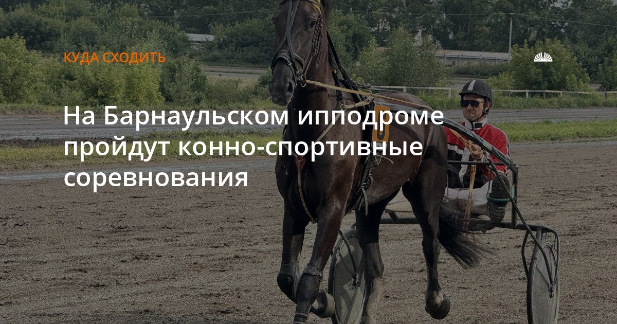 На Барнаульском ипподроме состоятся конно-спортивные соревнования