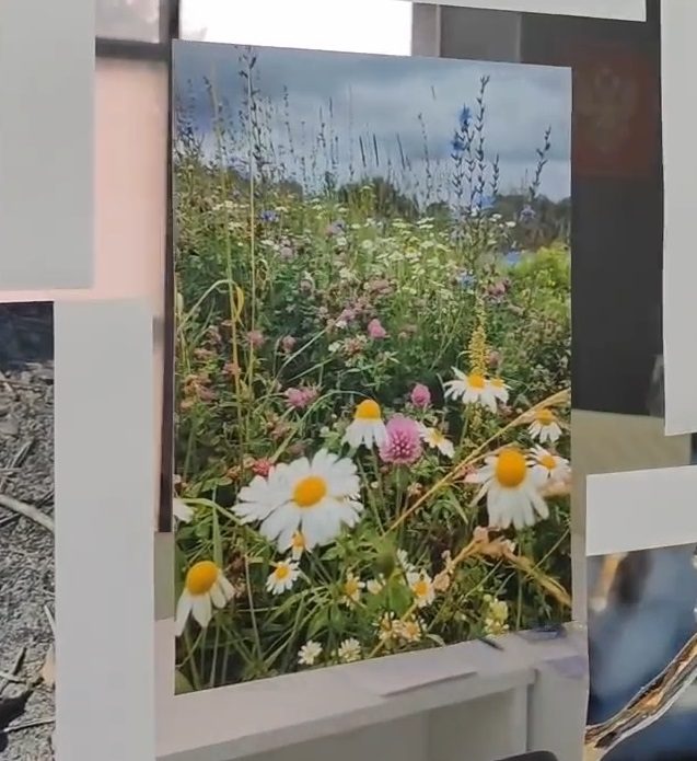 Фотовыставку «Мгновения света» штурмовика представили в Барнауле