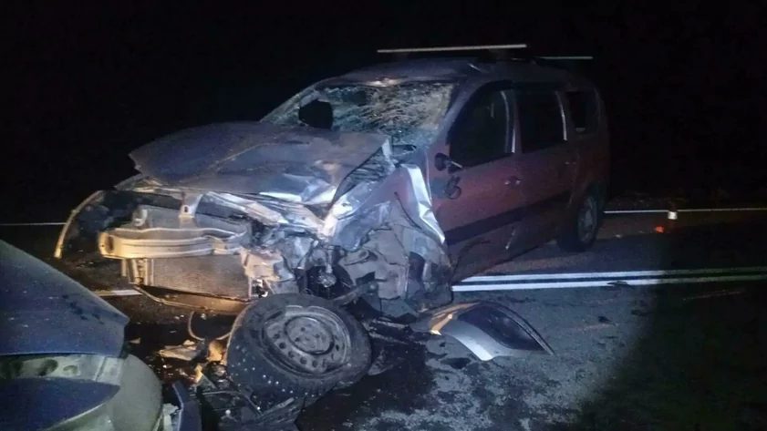 Семья из Барнаула пострадала в ДТП с лошадью в Онгудайском районе