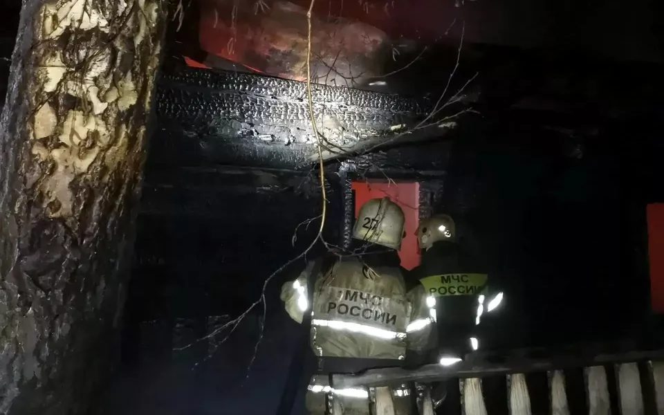 Мужчина погиб при ночном пожаре в селе Зудилово Алтайского края