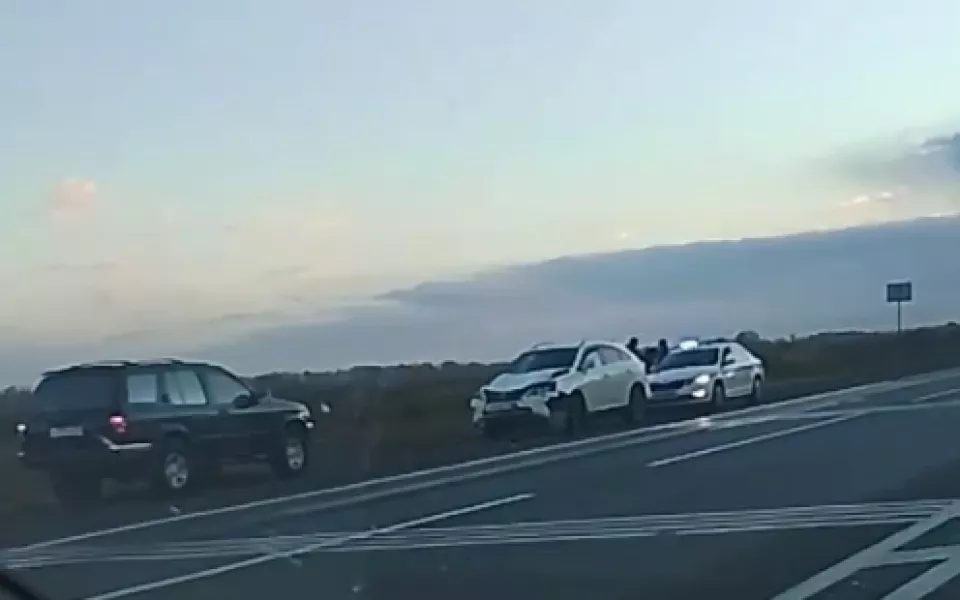 Автомобиль сбил лошадь на трассе под Бийском