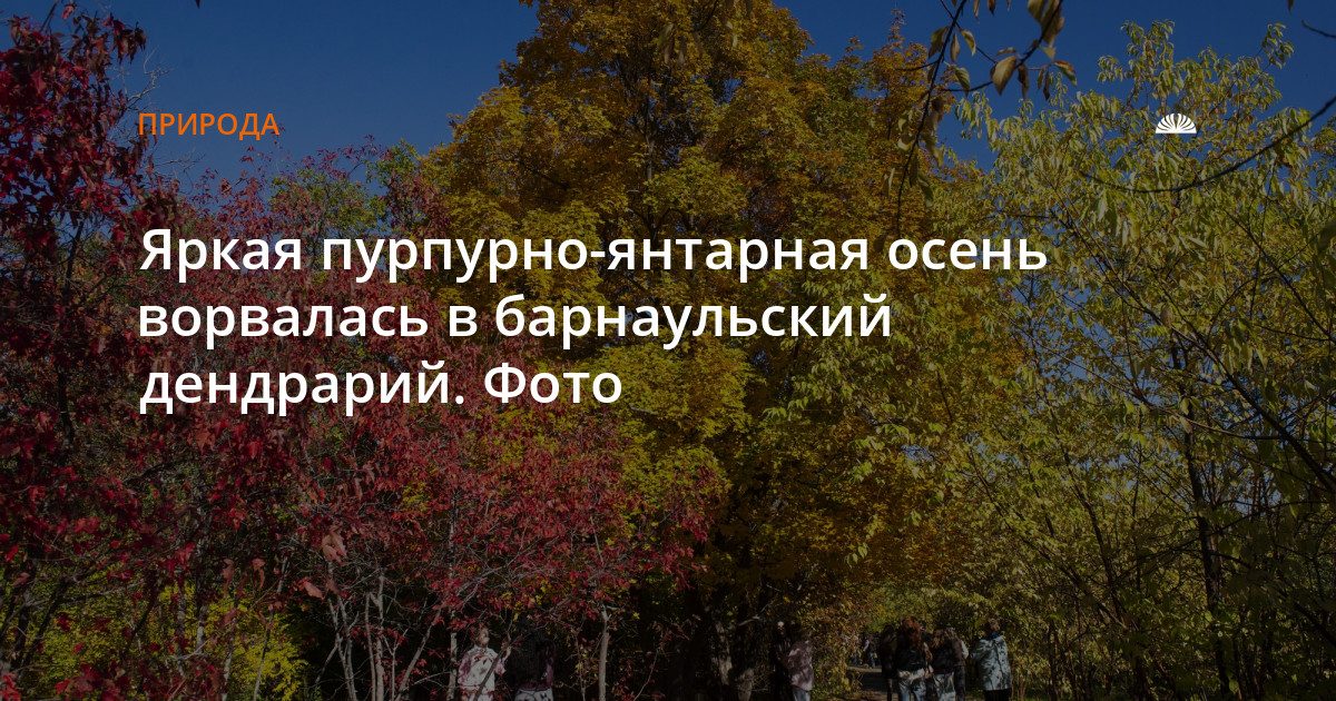 Дендрарий НИИ садоводства Сибири в осенних красках