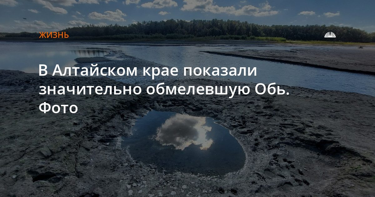 Обь обмелела на берегу Барнаула