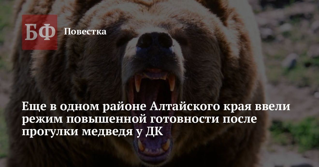 В Советском районе края ввели режим повышенной готовности из-за медведя