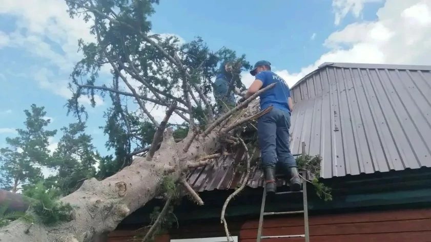 В Краснощековском районе продолжают устранять последствия урагана
