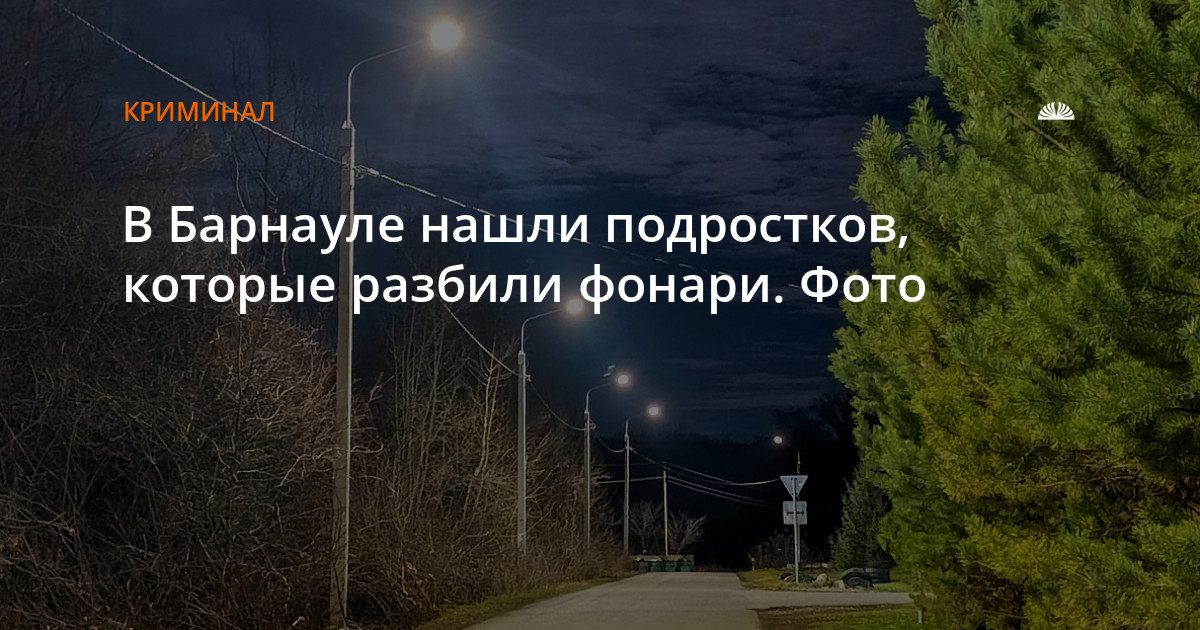В Барнауле установили двух 13-летних подростков, разбивших фонари