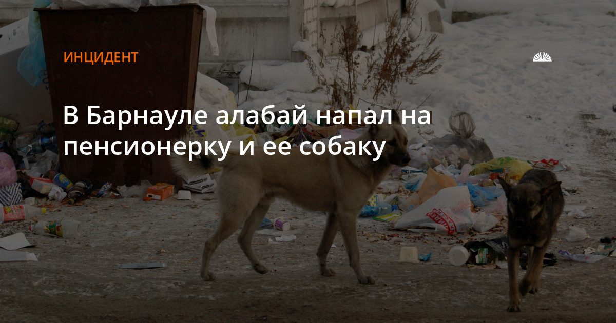 В Барнауле алабай напал на пенсионерку и ее собаку